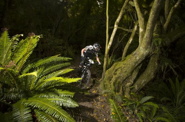 Wonderland: Anton Cooper, of Christchurch, descends through native bush on the Alice in Wonderland trail during stage 2 of the 2013 Urge 3 Peaks Enduro held in Dunedin, New Zealand. (December 6-7, 2013).